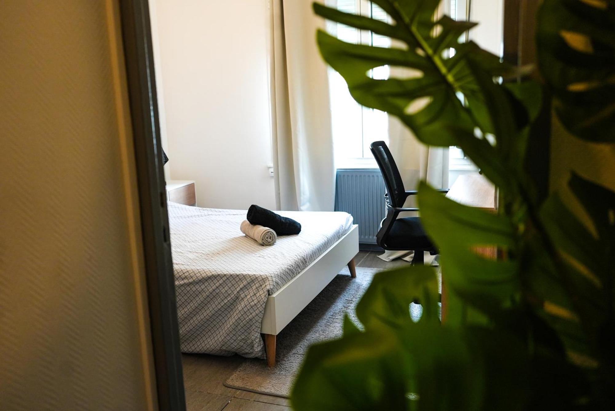 Appartement Temis Et Centre Ville Avec Parking-Wifi เบอซองซง ภายนอก รูปภาพ
